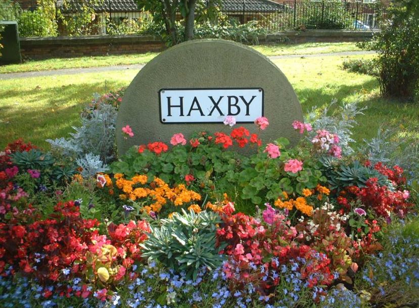 Feature Locations: Haxby Removals